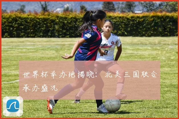 世界杯举办地揭晓:北美三国联合承办盛况