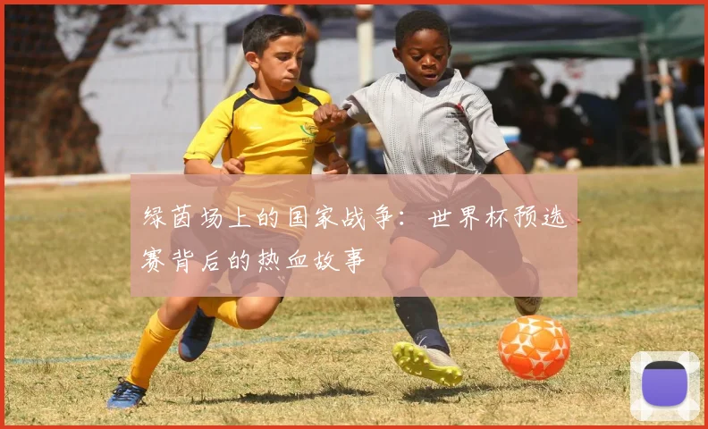 绿茵场上的国家战争:世界杯预选赛背后的热血故事