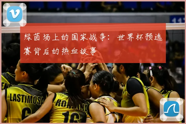 绿茵场上的国家战争:世界杯预选赛背后的热血故事