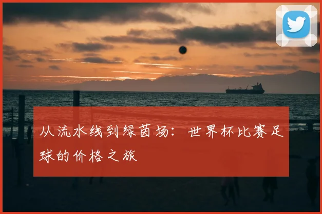 从流水线到绿茵场:世界杯比赛足球的价格之旅