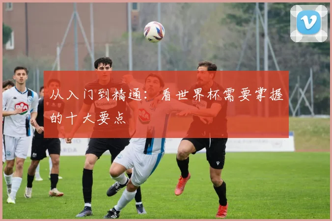 从入门到精通：看世界杯需要掌握的十大要点