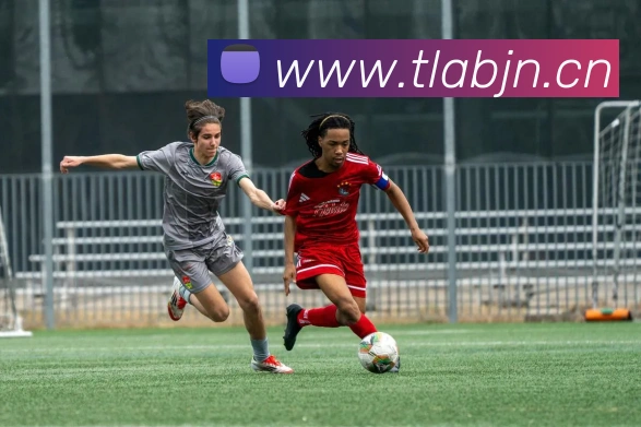 星空体育官网首页登录服务体系